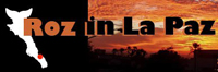 Roz In La Paz - Arts, Music and Culture website
